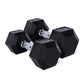 Primal Performance Series PVC Hex Dumbbells